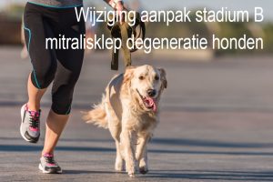 Wijziging aanpak stadium B mitralisklep degeneratie honden